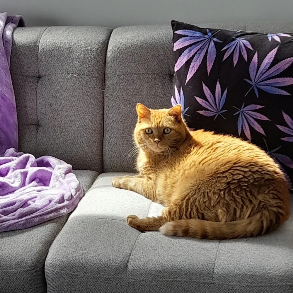 claudine7.bsky.social's profile picture