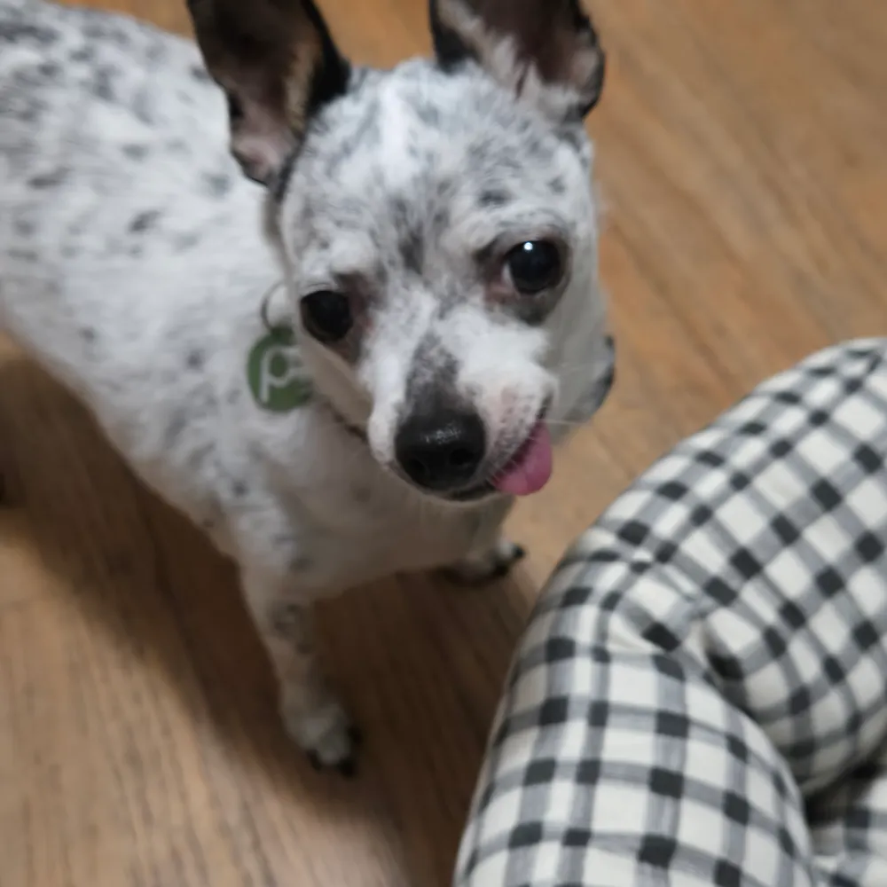 mr-scott.bsky.social's profile picture