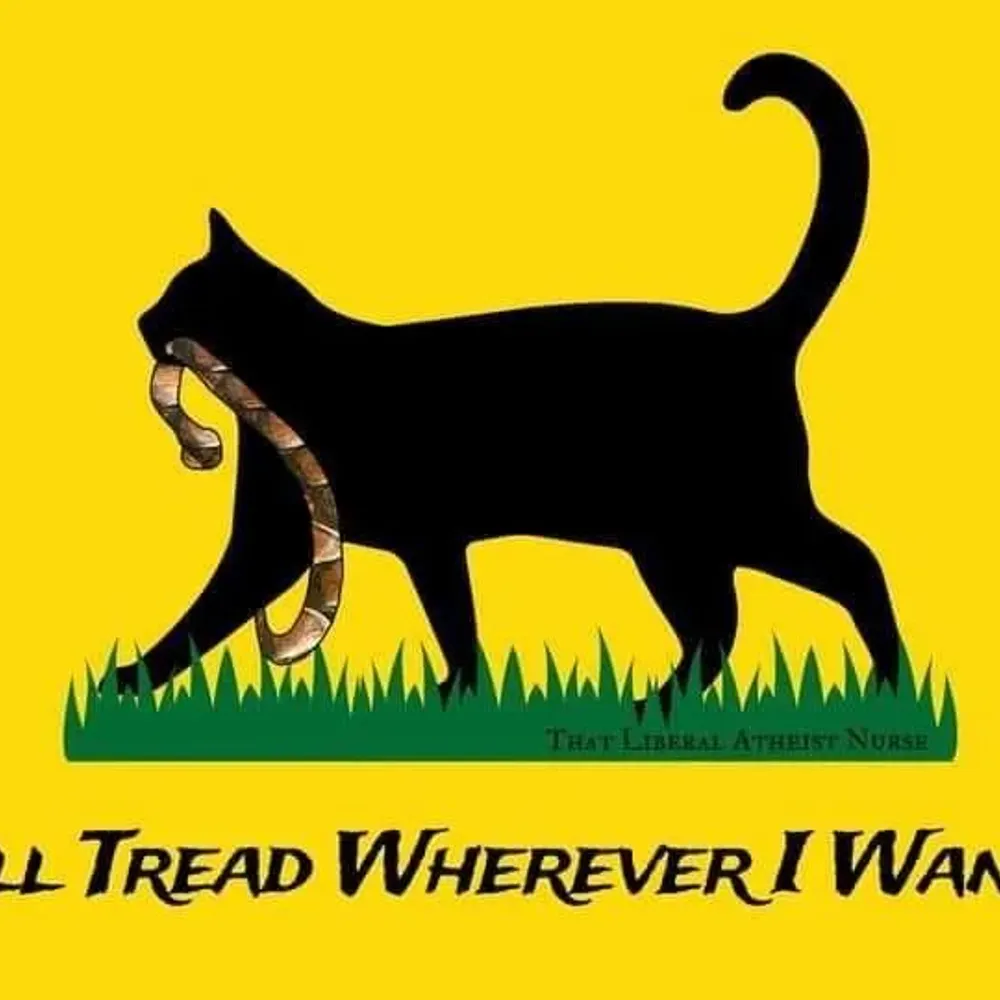 ashnewonblue2025.bsky.social's profile picture