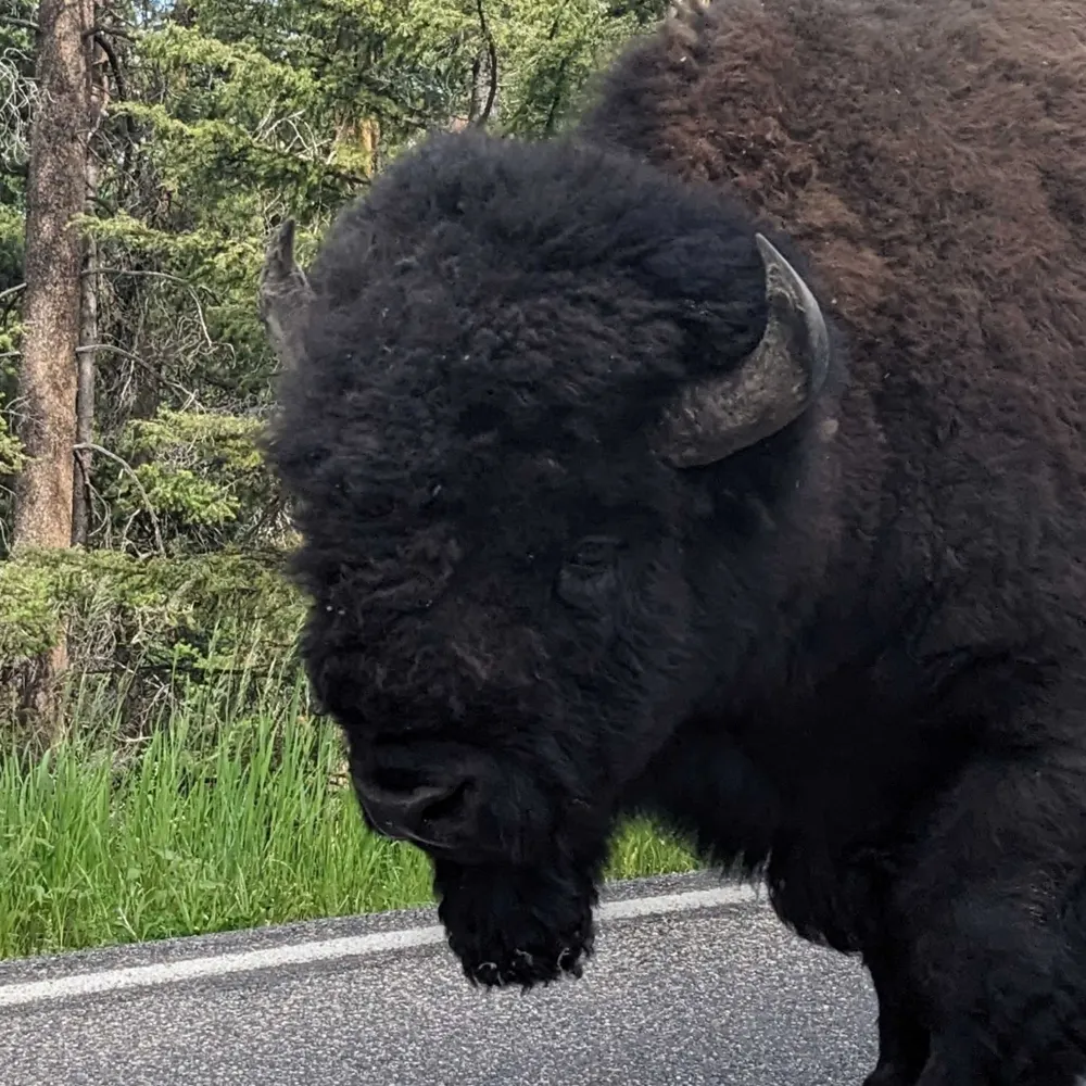 craigwalter.bsky.social's profile picture