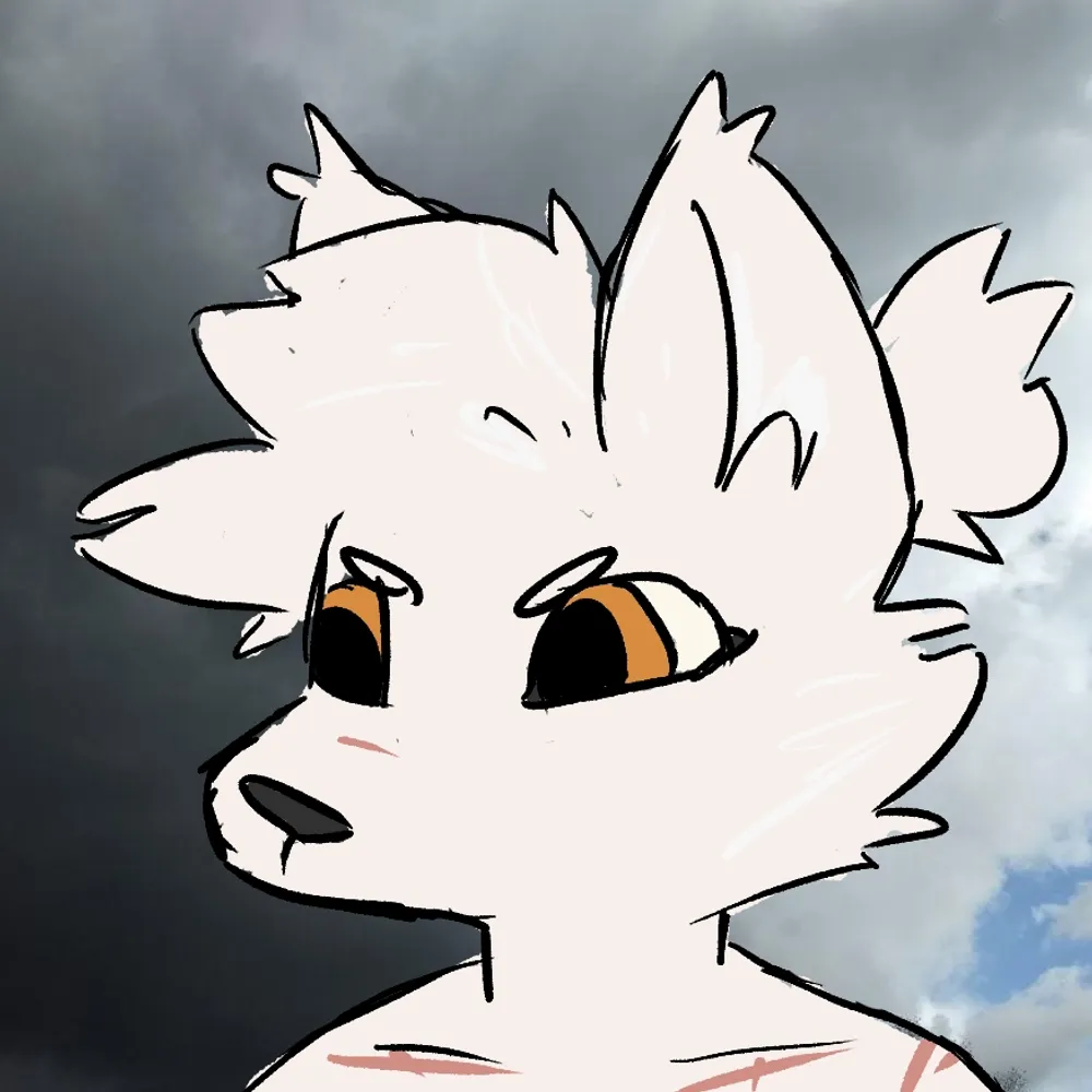 regndeer.bsky.social's profile picture