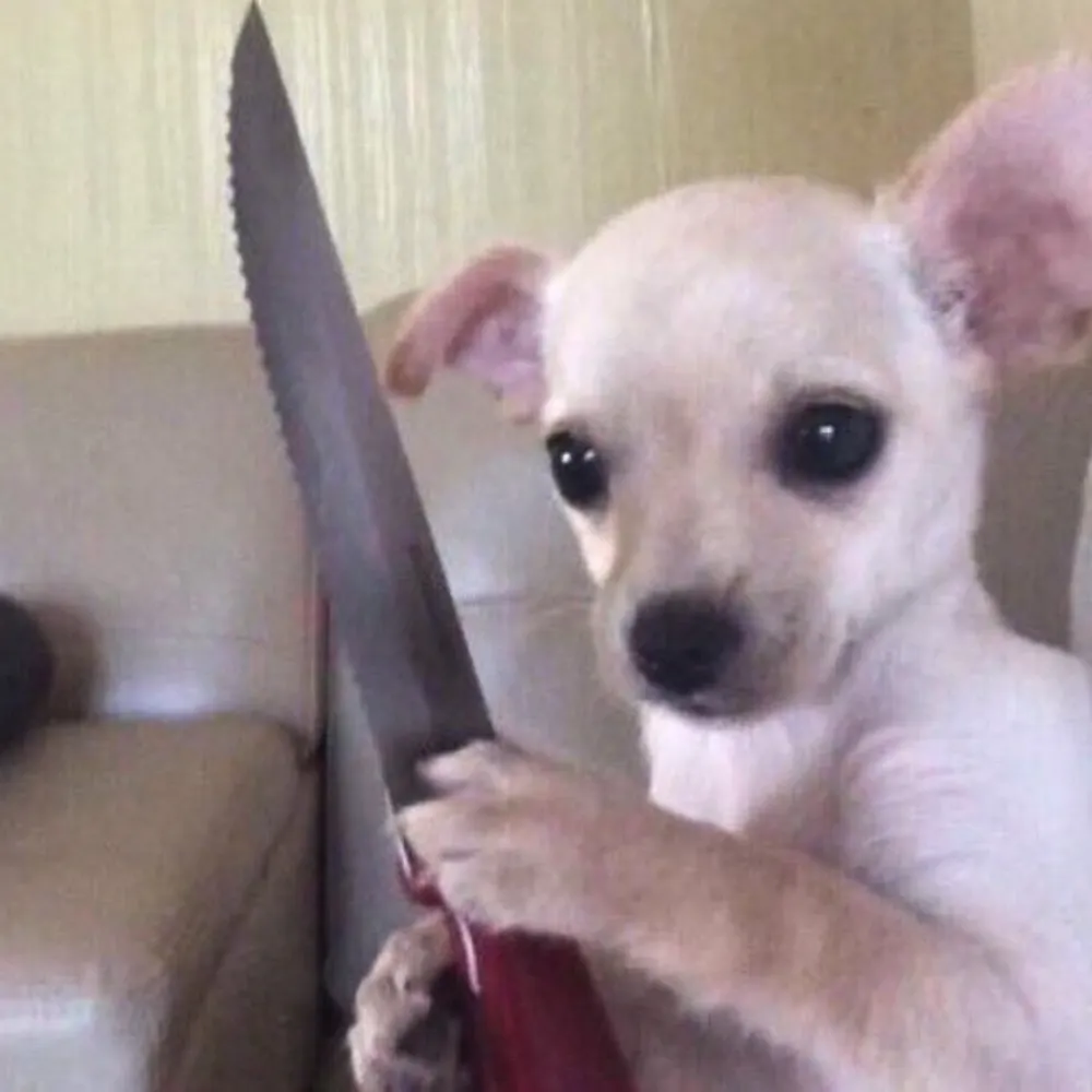 sugaarskull.bsky.social's profile picture