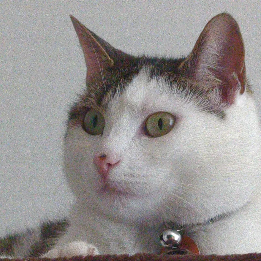 skc703.bsky.social's profile picture