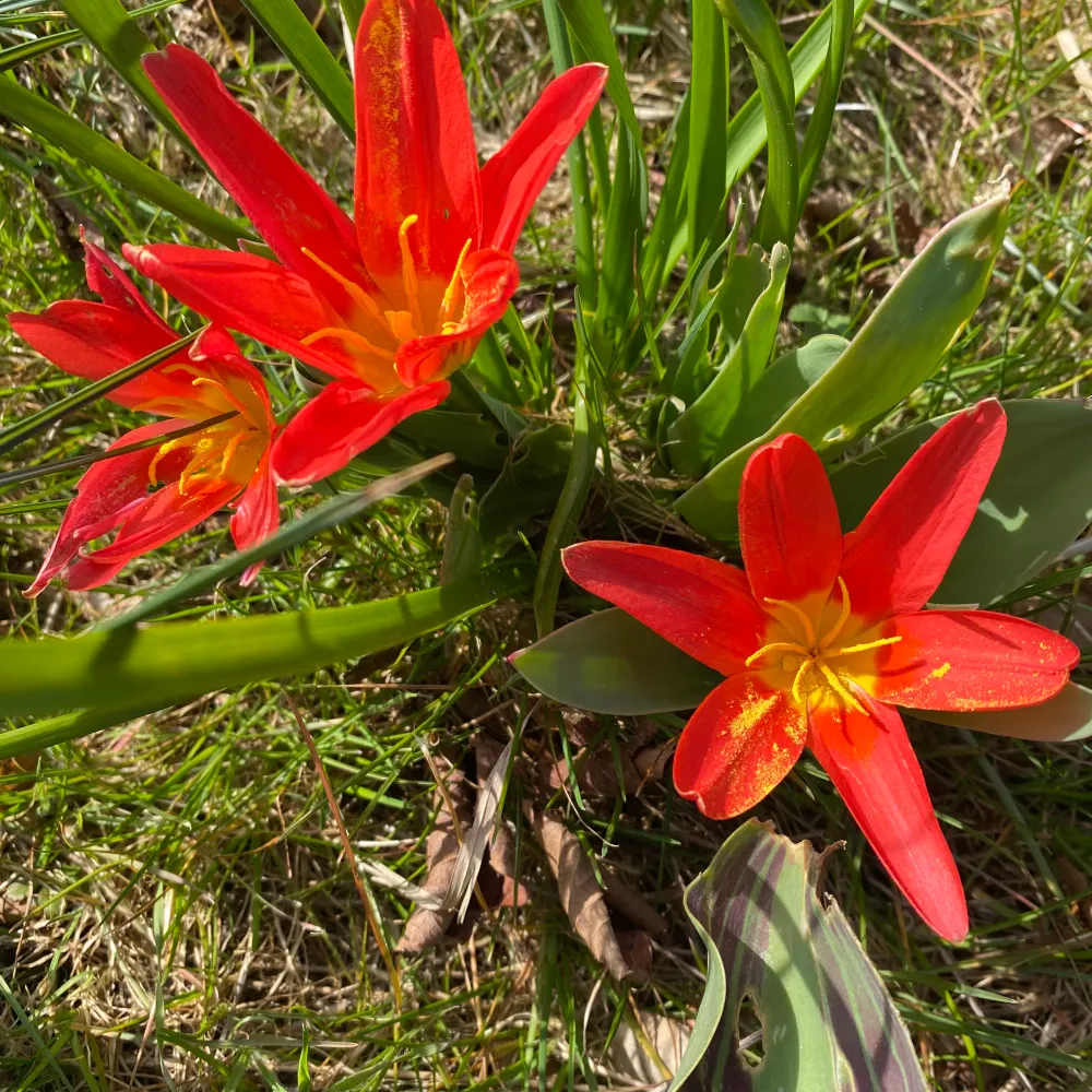 malenefri.bsky.social's profile picture