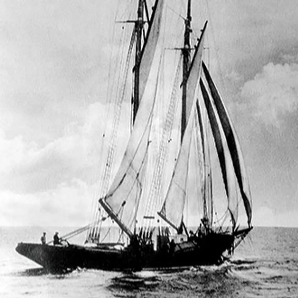 happyrumrunner.bsky.social's profile picture