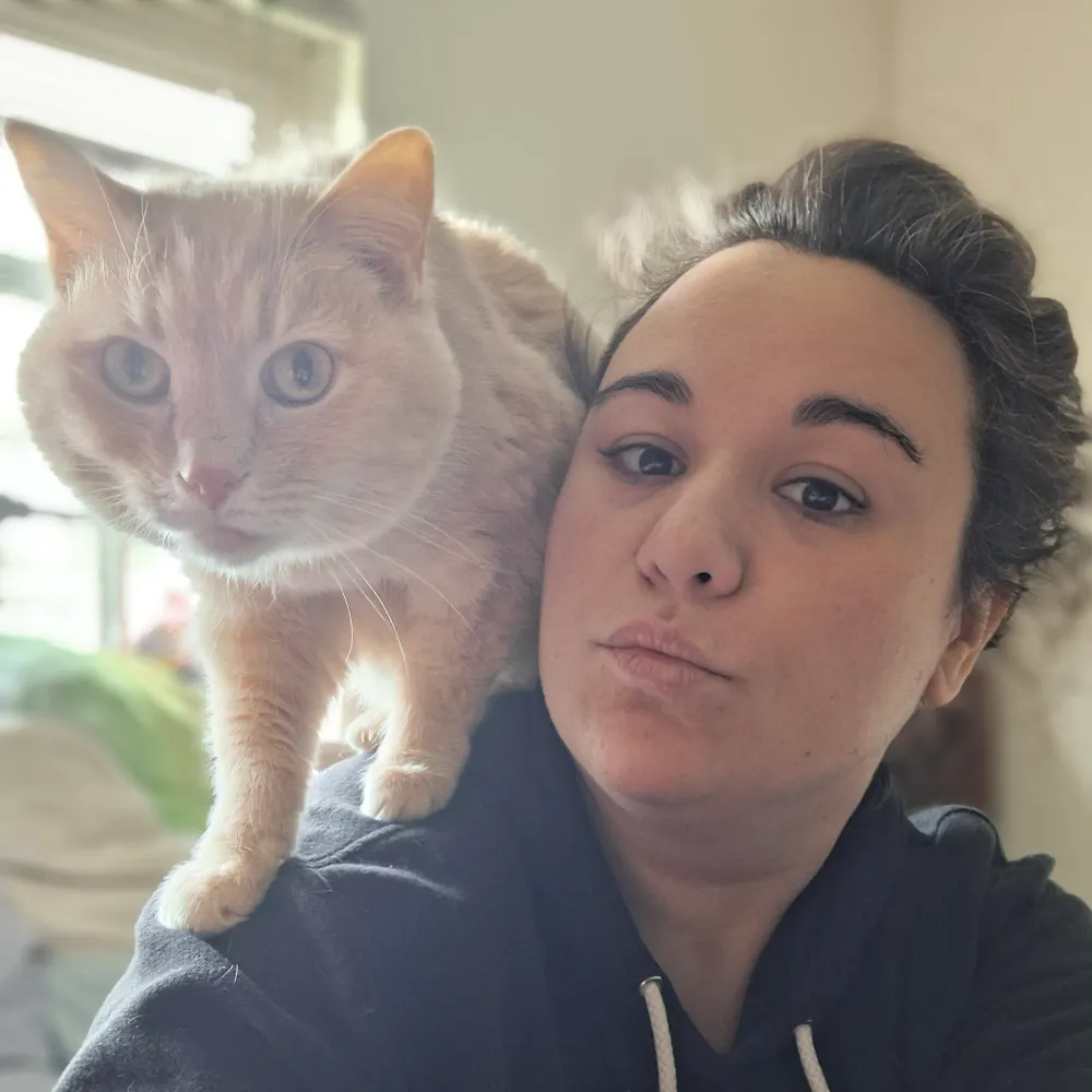 bizthenavigator.bsky.social's profile picture