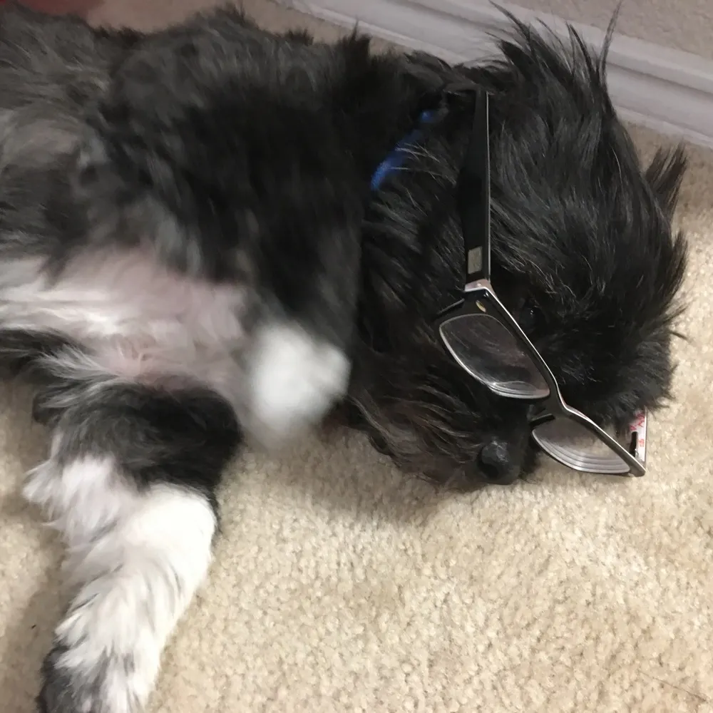 invanz.bsky.social's profile picture