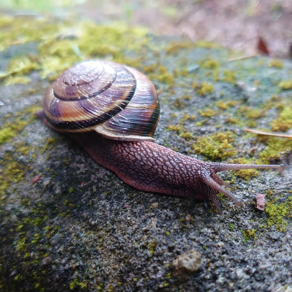 heathcareprovider.bsky.social's profile picture