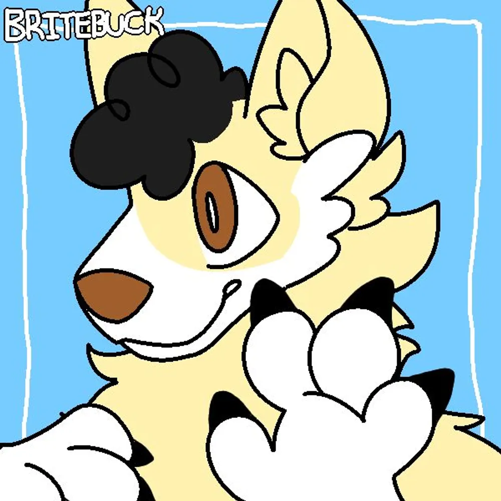 christhecap20.bsky.social's profile picture