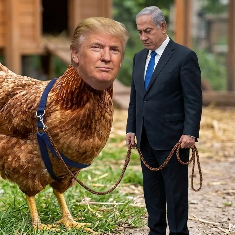 chickenshittrump.bsky.social's profile picture