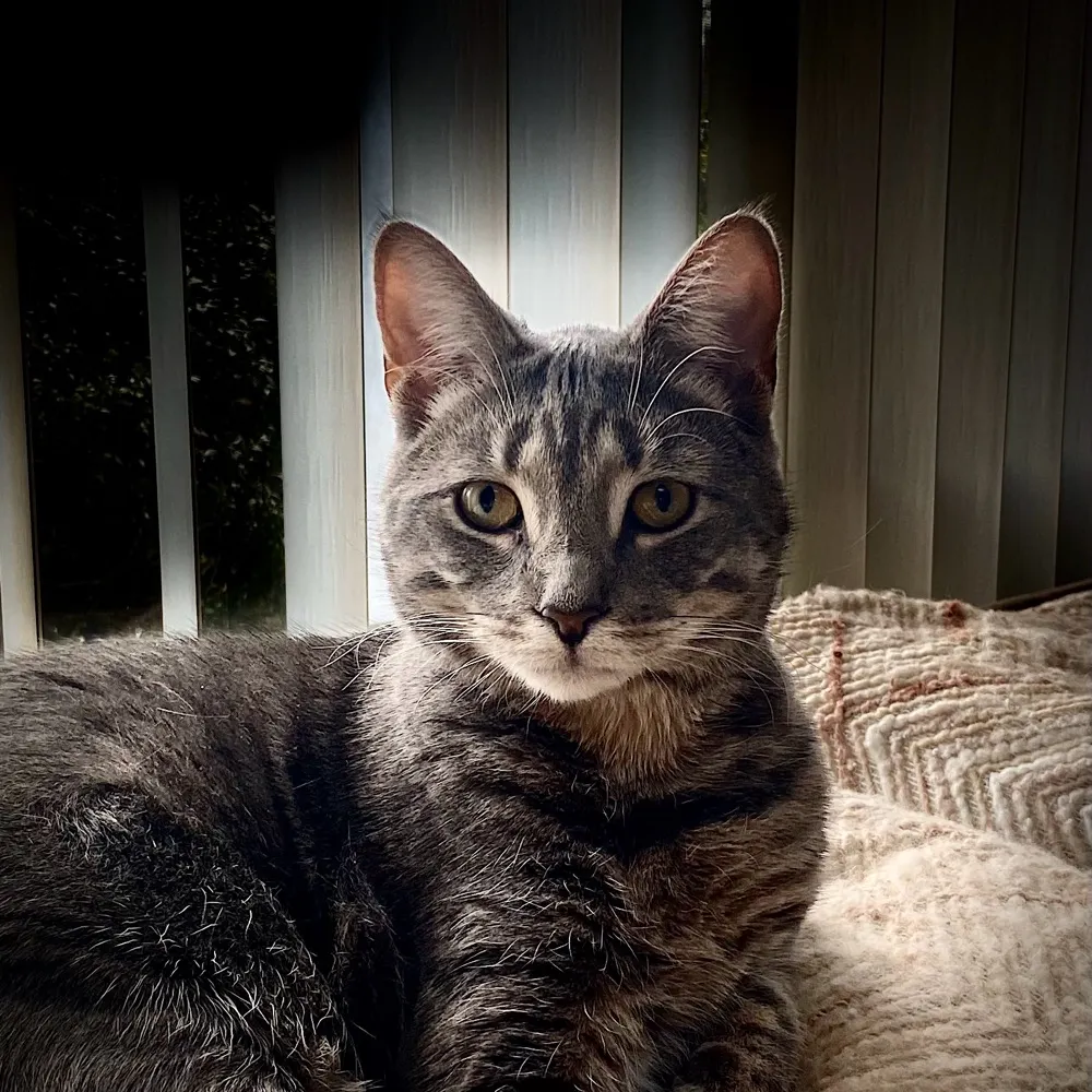 njhikerchick.bsky.social's profile picture