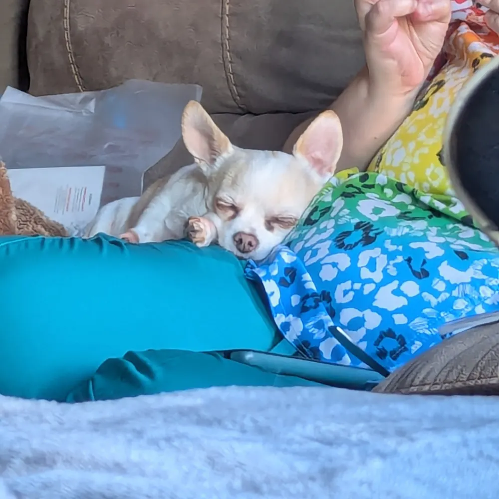 painfullyplain.bsky.social's profile picture