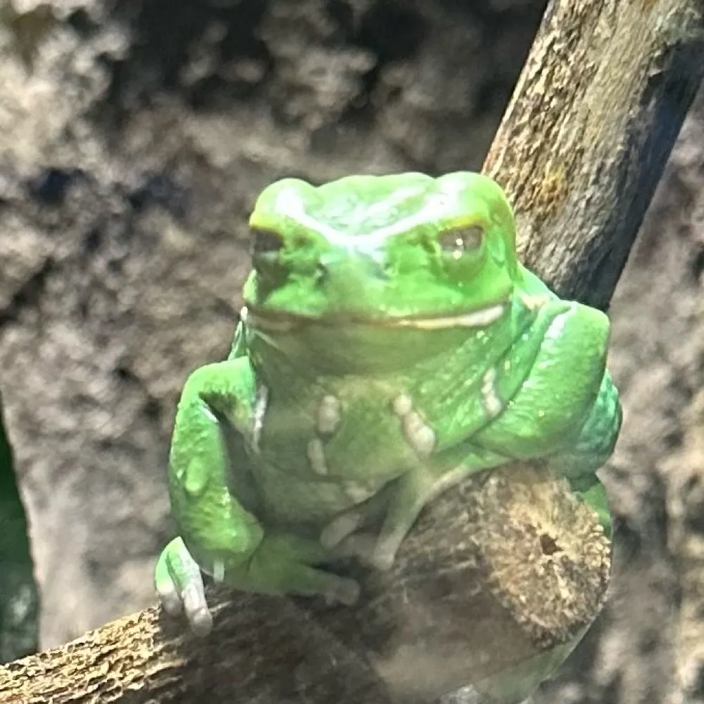 mildkingdom.bsky.social's profile picture