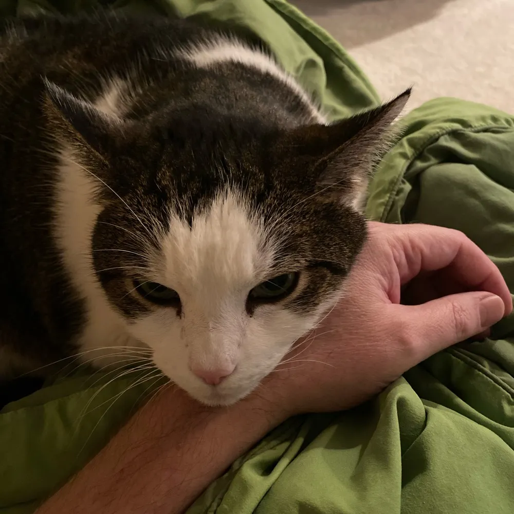 grainandpixels.bsky.social's profile picture