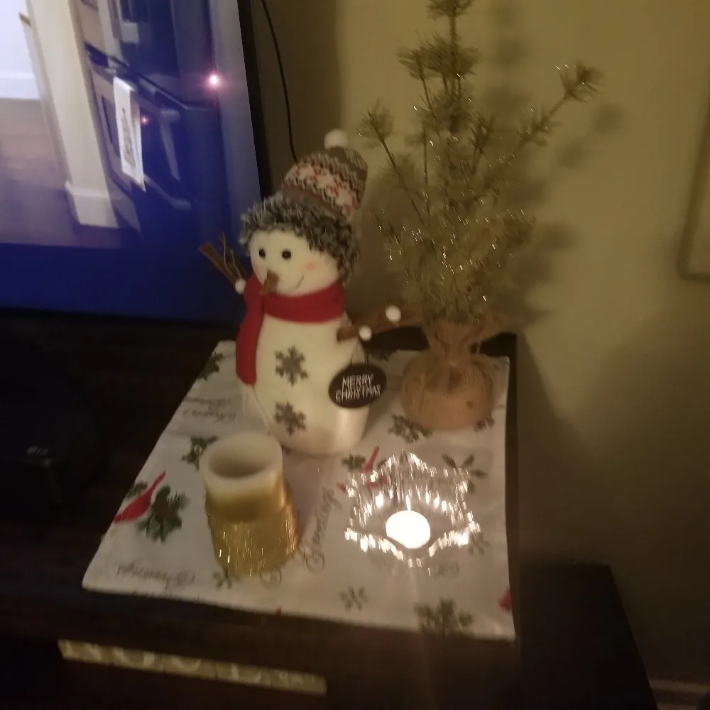 catwhisperer1964.bsky.social's profile picture