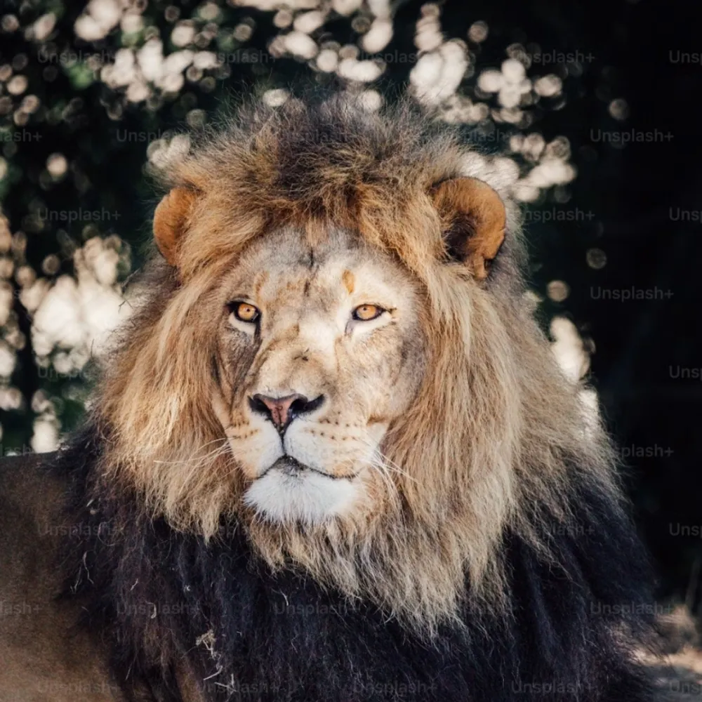 nocorruption.bsky.social's profile picture