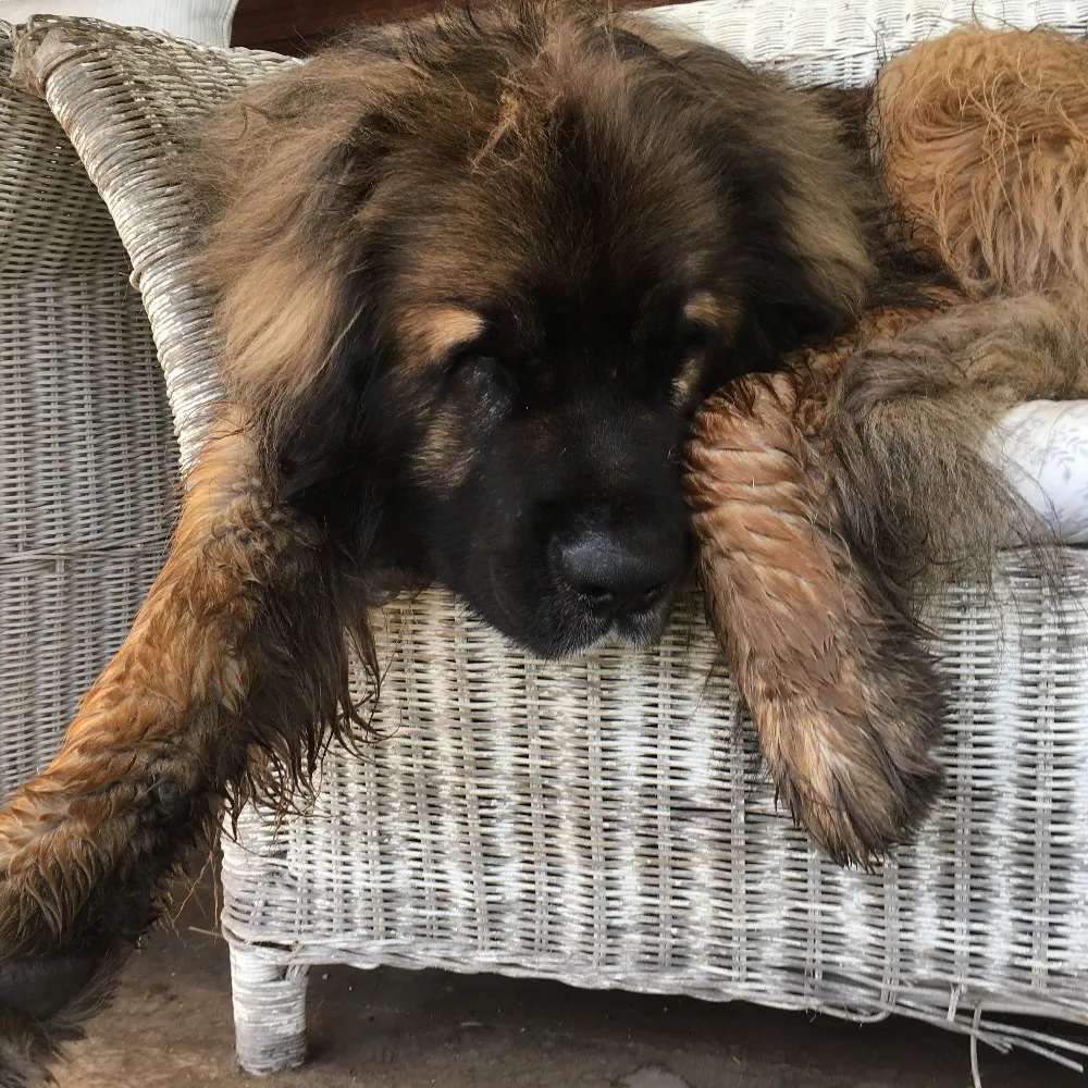 ruckus.bsky.social's profile picture