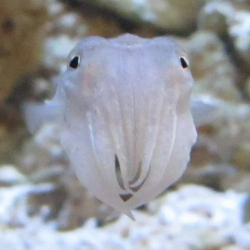 jmalkin.bsky.social's profile picture