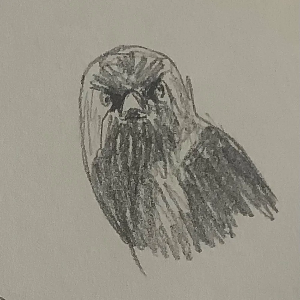 jefrir.bsky.social's profile picture