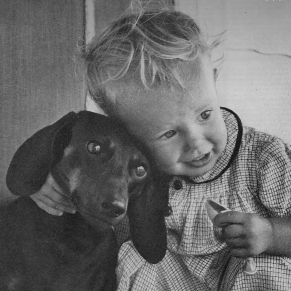 miak06.bsky.social's profile picture