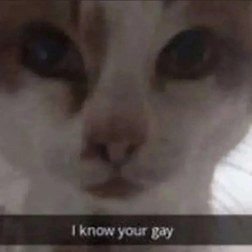 bonrod.bsky.social's profile picture