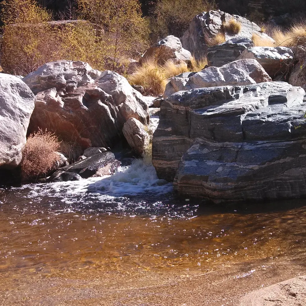 brandontbishop.bsky.social's profile picture