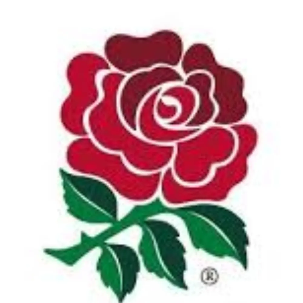 anglo-european.bsky.social's profile picture