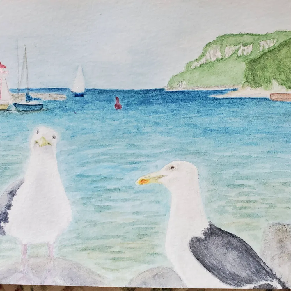 seagullsteph.bsky.social's profile picture