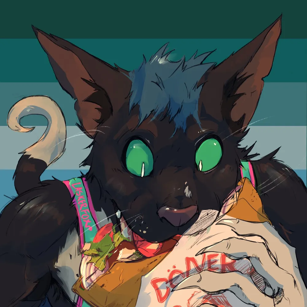 slycaster.bsky.social's profile picture