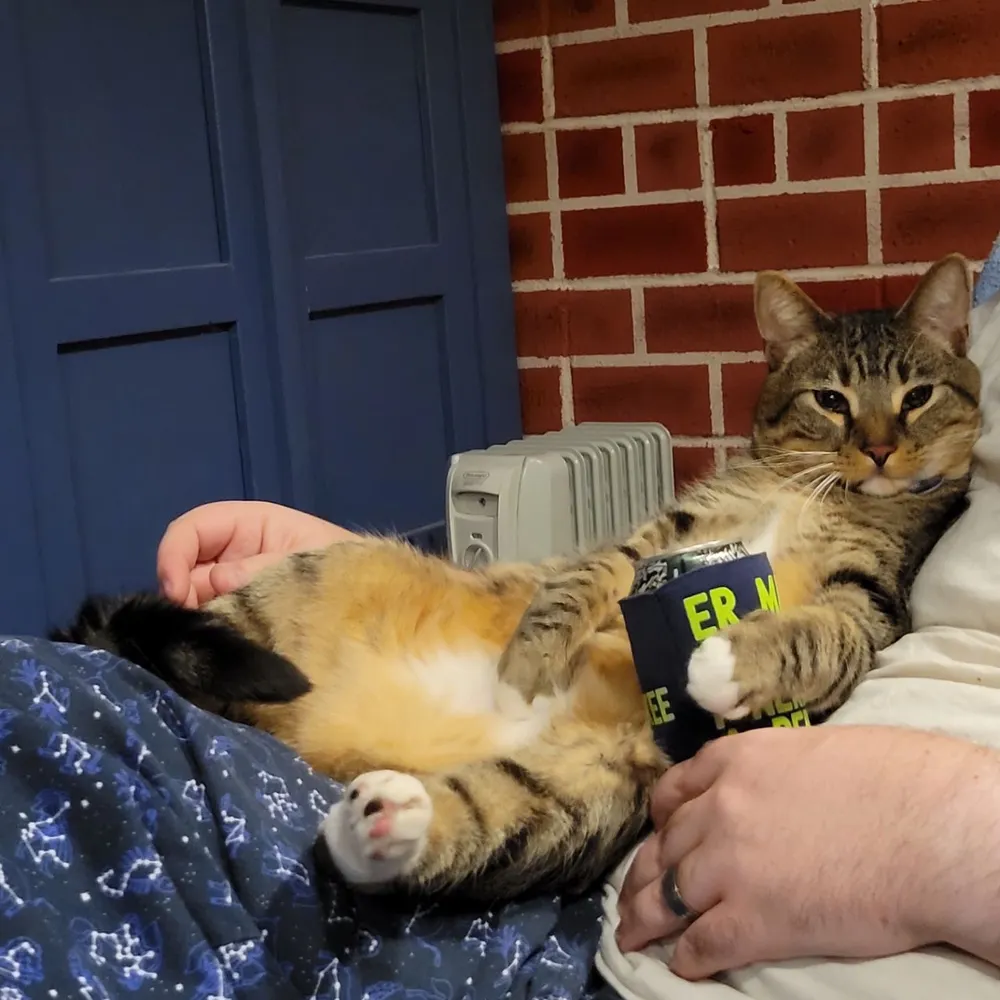 mattmark.bsky.social's profile picture