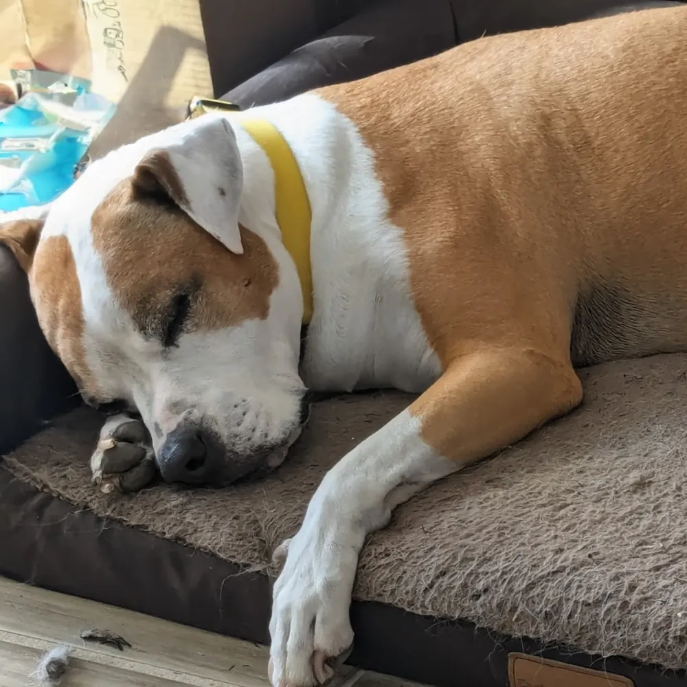 bluegirl55.bsky.social's profile picture