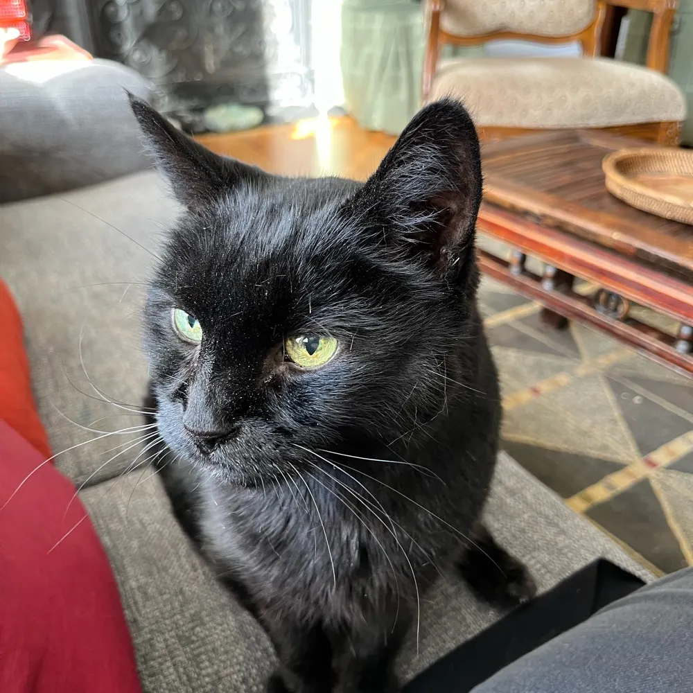 cdneh45.bsky.social's profile picture