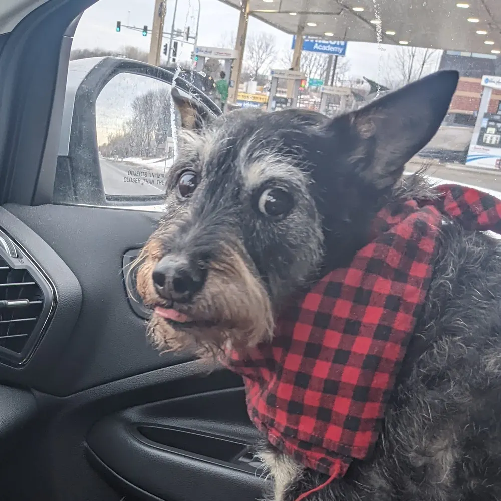 month-of-august.bsky.social's profile picture