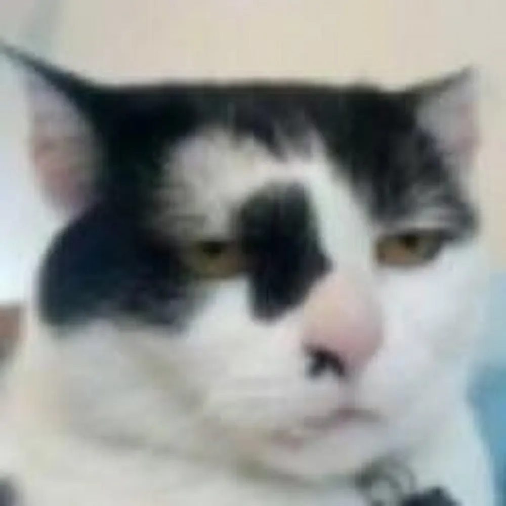 alexpanchenko2.bsky.social's profile picture