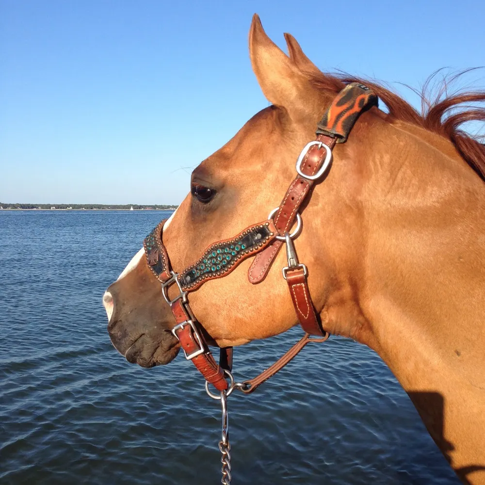 nancyginga.bsky.social's profile picture