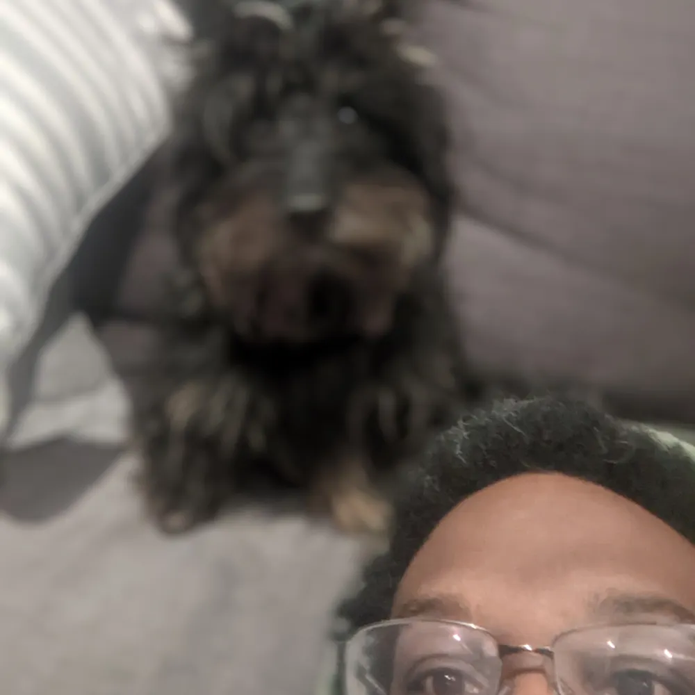 gorbinblathour.bsky.social's profile picture