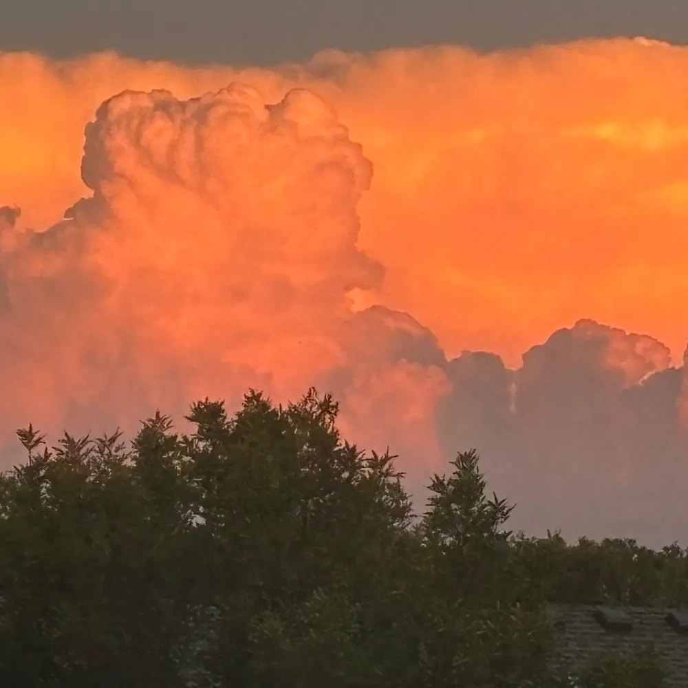 bella3mae.bsky.social's profile picture