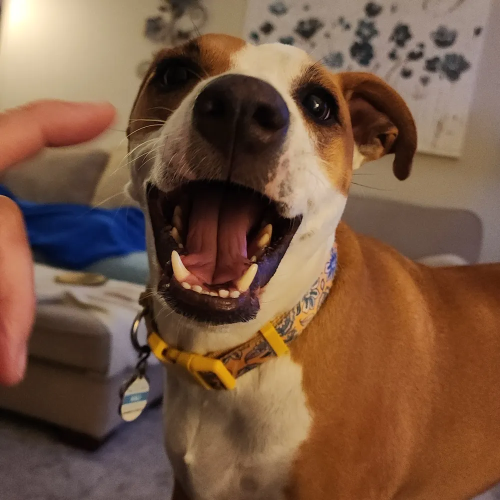 lowht.bsky.social's profile picture