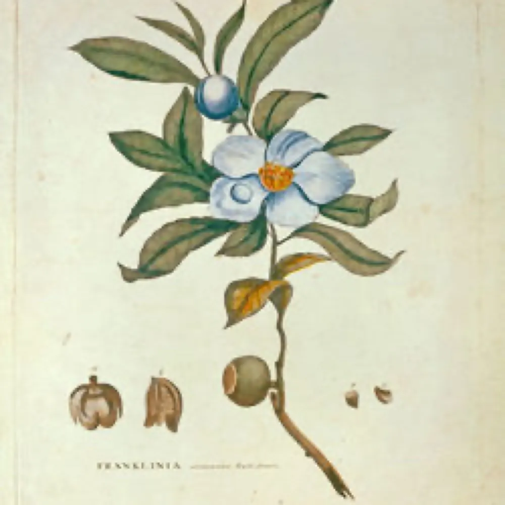 jmstudd.bsky.social's profile picture