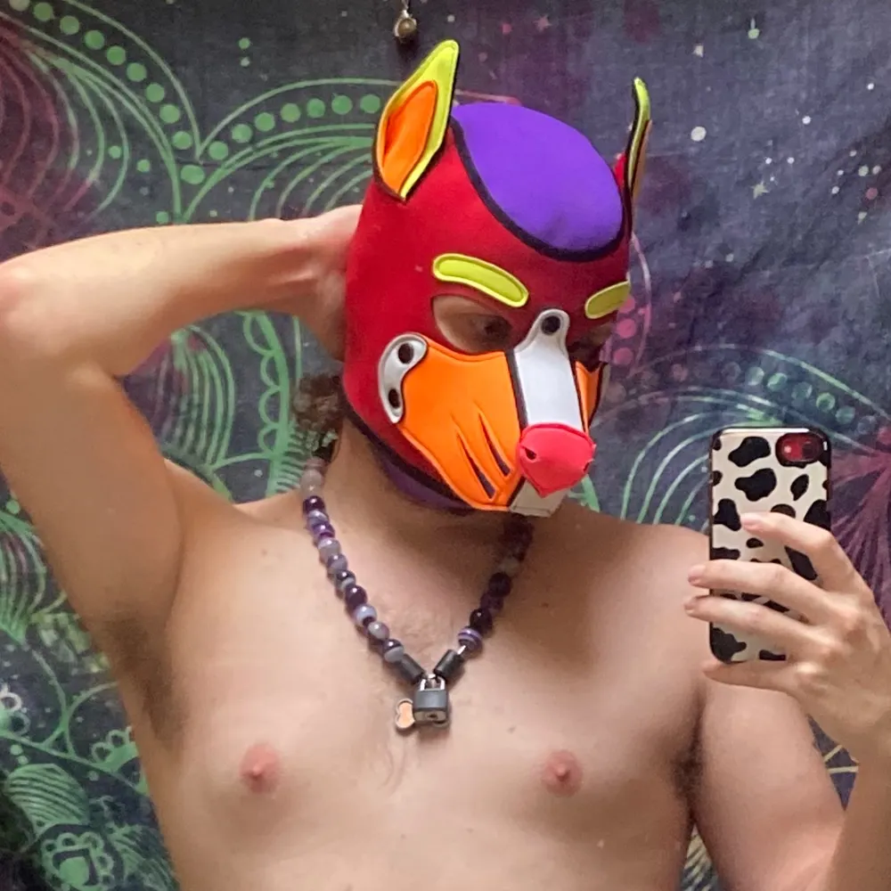 pupperspruce.bsky.social's profile picture