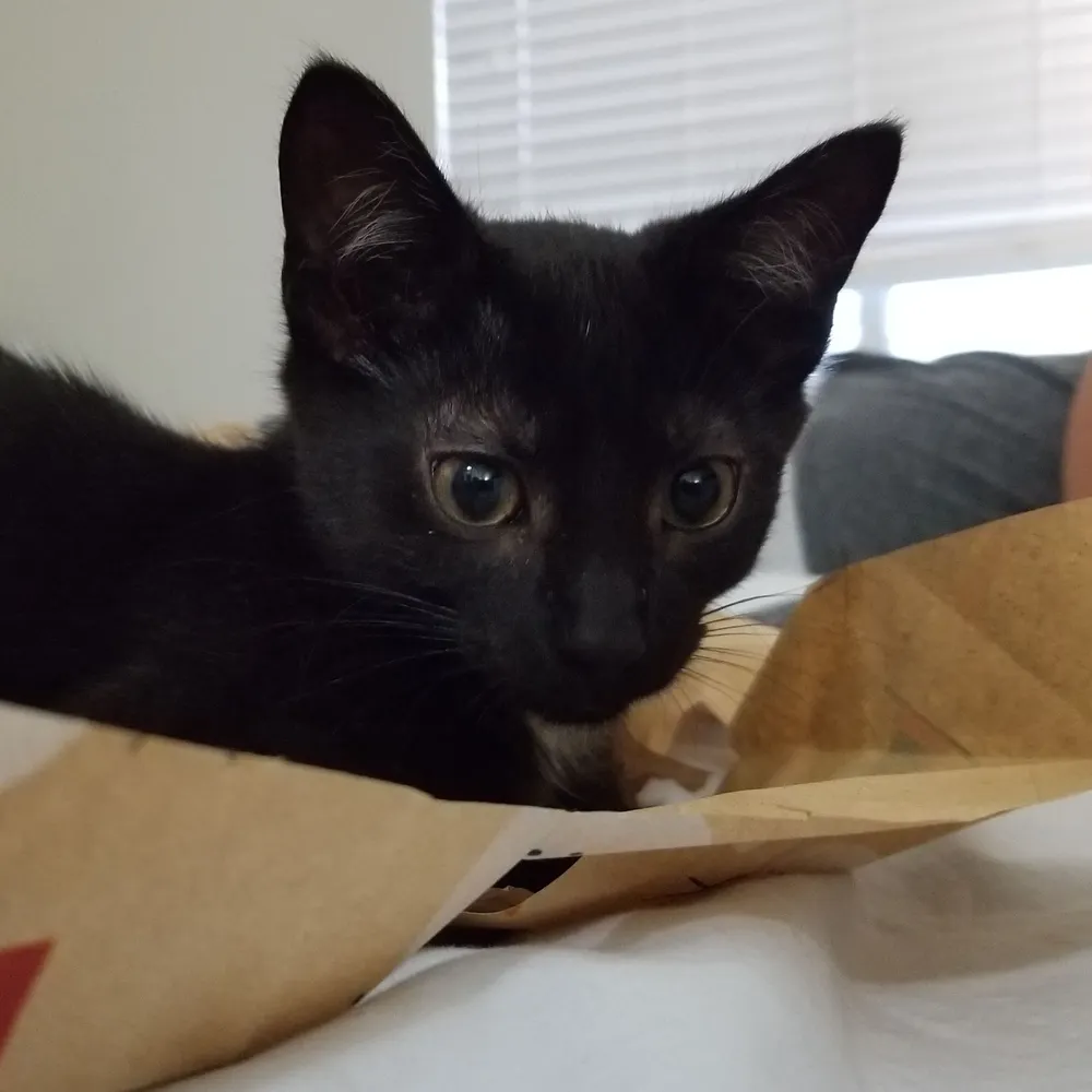 muellercleez.bsky.social's profile picture