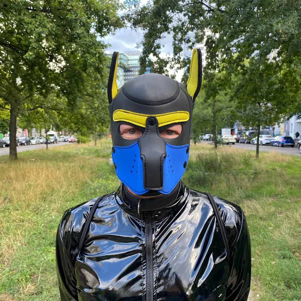 oberonms.bsky.social's profile picture