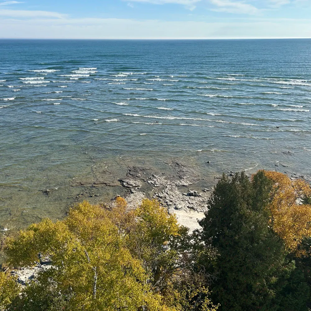 realusapatriot.bsky.social's profile picture