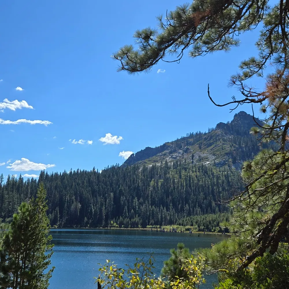 thomaswolfe.bsky.social's profile picture