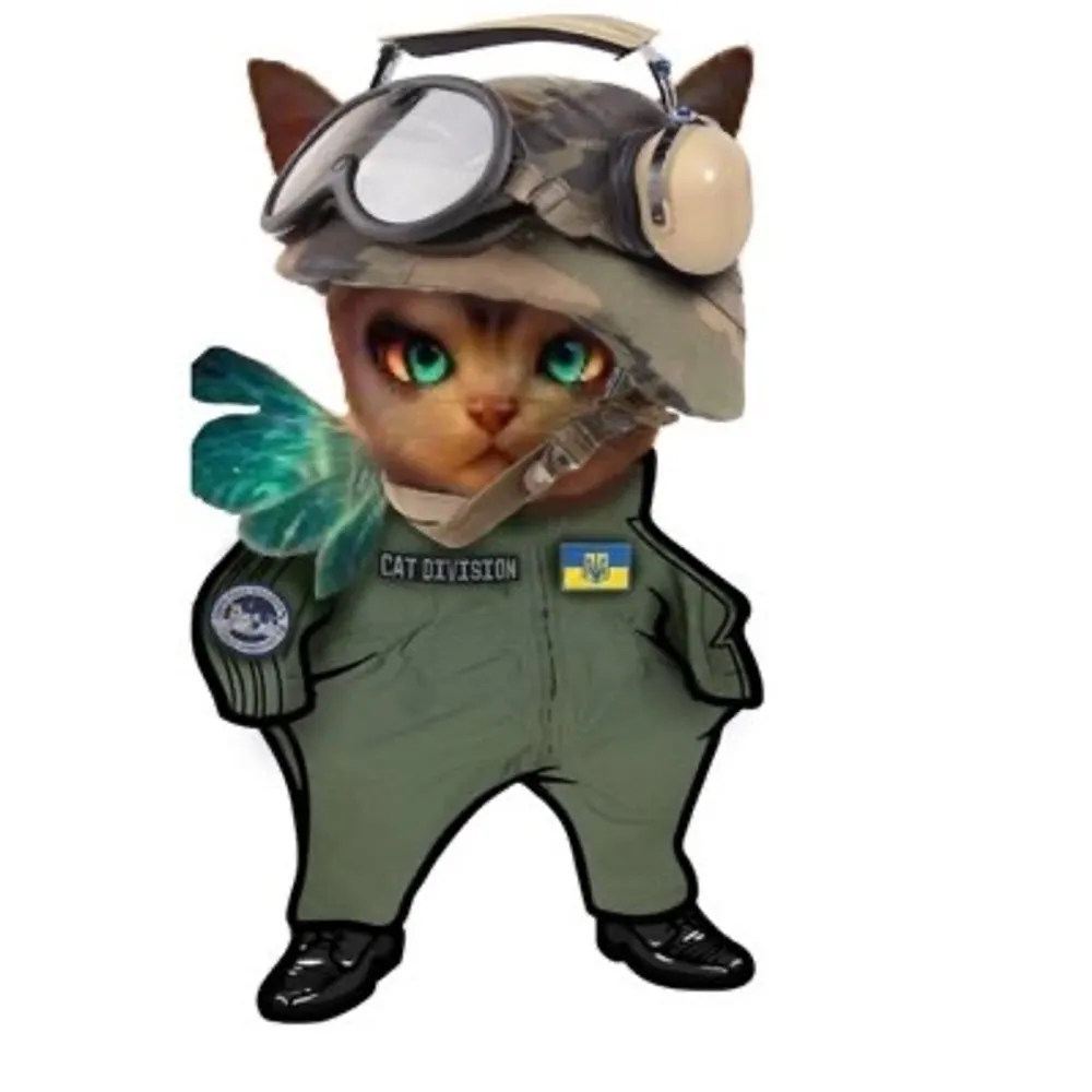 bivi17.bsky.social's profile picture