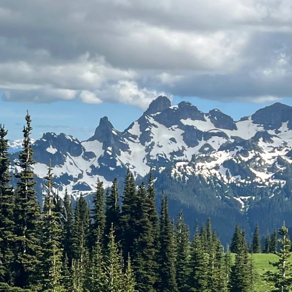 heyjayblue.bsky.social's profile picture