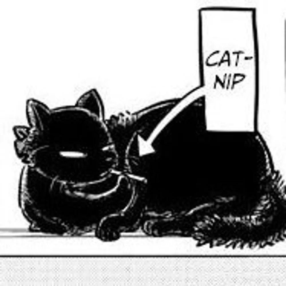 awfulstaringeye.bsky.social's profile picture