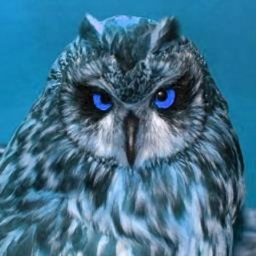 bluebirdofunhap.bsky.social's profile picture