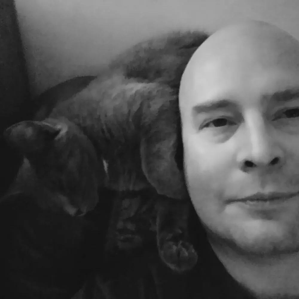 derscatstacos.bsky.social's profile picture