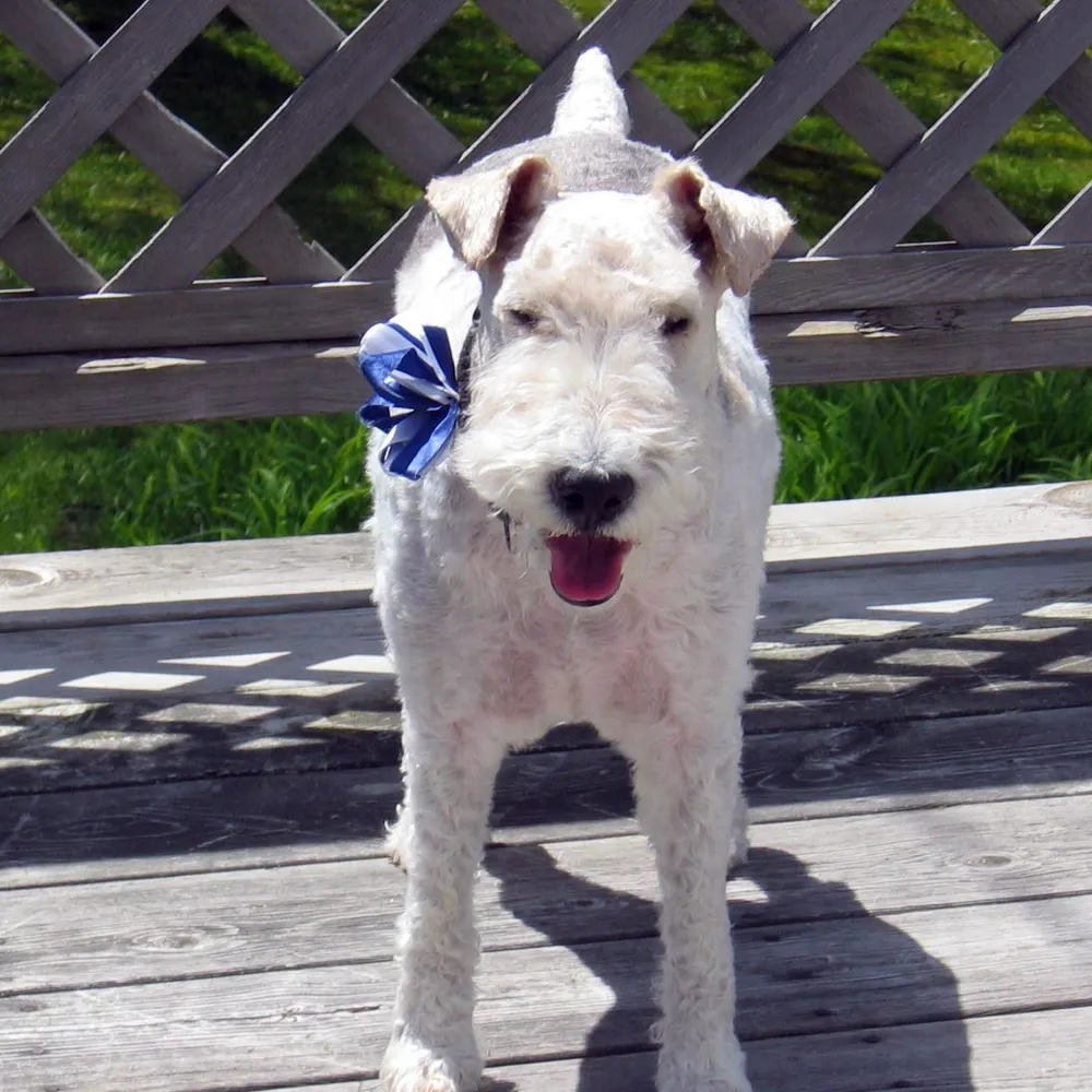 adb48640.bsky.social's profile picture